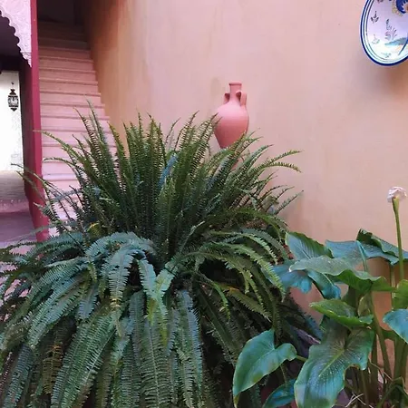 Apartamento Jerezanos Jerez de la Frontera