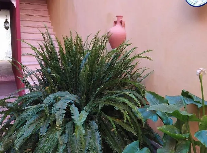 Appartement Jerezanos Jerez de la Frontera